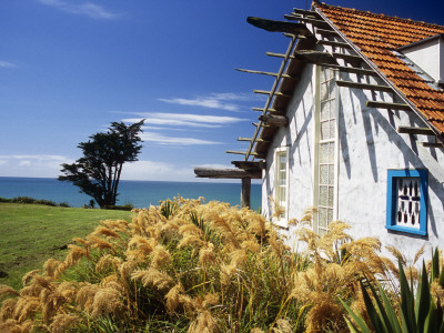 Ahu Ahu Eco Beach Villa, Oakura,Taranaki Eco Award Winning House by Nadia Mackenzie Pricing Limited Edition Print image