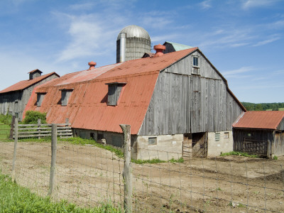 Baccus Dairy Farm, Pennsylvania by Natalie Tepper Pricing Limited Edition Print image