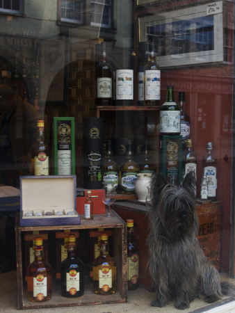 Shop Window, The Royal Mile, Edinburgh by Natalie Tepper Pricing Limited Edition Print image