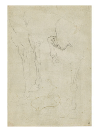 Etude De Jambes De Cheval Et Etude De Cheval Se Cabrant by Leonard De Vinci Pricing Limited Edition Print image