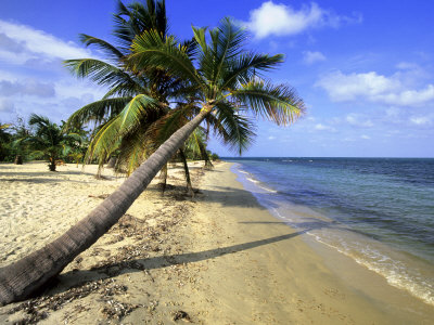 Beach Scene, Placencia, Belize by Michael Defreitas Pricing Limited Edition Print image