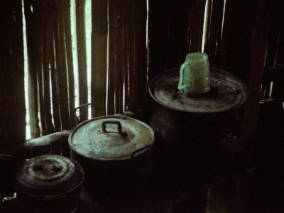 One Green Cup, Laos by Eloise Patrick Pricing Limited Edition Print image