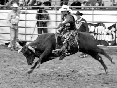 Riding The Wave, Santa Barbara Rodeo by Eloise Patrick Pricing Limited Edition Print image