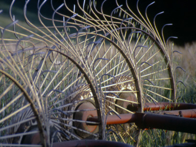 Hay Thresher, Siena by Eloise Patrick Pricing Limited Edition Print image