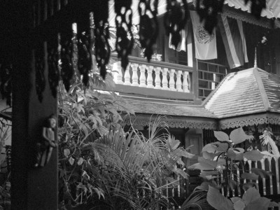 Rain On Steve's Roof, Thailand by Eloise Patrick Pricing Limited Edition Print image