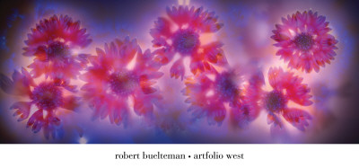 Mexican Hat by Robert Buelteman Pricing Limited Edition Print image