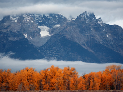 Fall Colors In Grand Teton National Park by Aaron Huey Pricing Limited Edition Print image