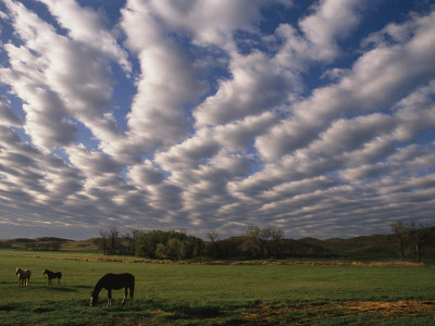 A Blanket Of Clouds Hovers Over Horses Grazing In A Pasture by Annie Griffiths Pricing Limited Edition Print image