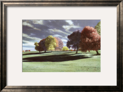 Grove Of Color by Evelyn Hammond Pricing Limited Edition Print image