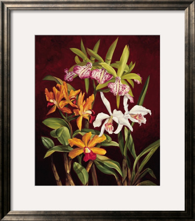 Orchid Trio Ii by Rodolfo Jimenez Pricing Limited Edition Print image