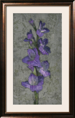 Purple Gladiola by John Seba Pricing Limited Edition Print image