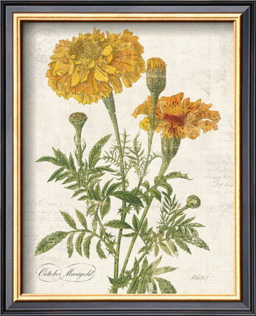 October Marigold by Katie Pertiet Pricing Limited Edition Print image