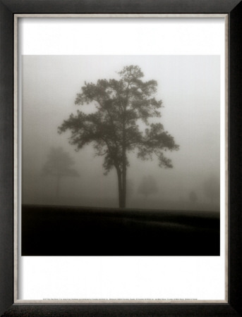 Fog Tree Study I by Jamie Cook Pricing Limited Edition Print image