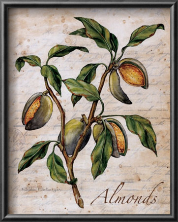 Almonds by Renee Bolmeijer Pricing Limited Edition Print image