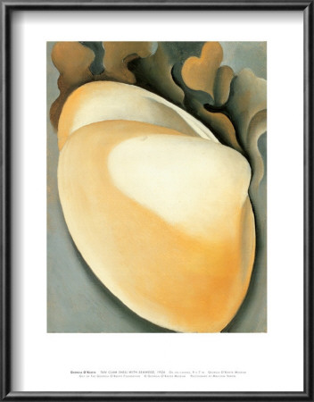 Tan Clam Shell by Georgia O'keeffe Pricing Limited Edition Print image