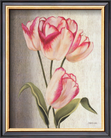 Parrot Tulips by Debra Lake Pricing Limited Edition Print image