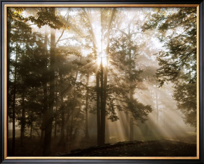 A New Day Ii by Ann Dahlgren Pricing Limited Edition Print image