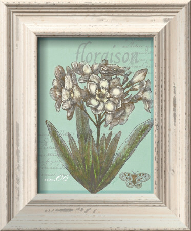 Floraison Nouveau I by Devon Ross Pricing Limited Edition Print image