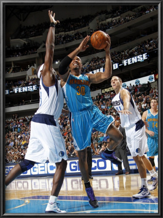 New Orleans Hornets V Dallas Mavericks: David West And Brendan Haywood by Layne Murdoch Pricing Limited Edition Print image