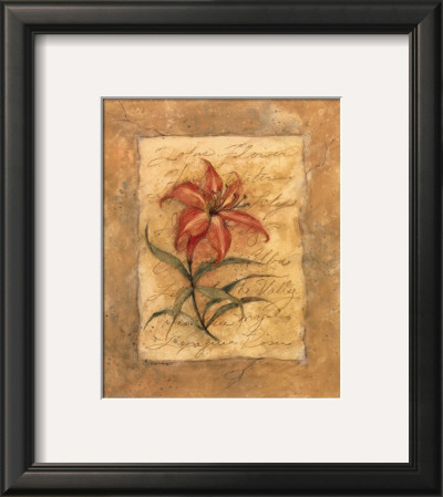Day Lily by Susan Winget Pricing Limited Edition Print image