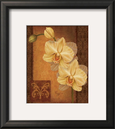 Golden Orchid Ii by Debbie Cole Pricing Limited Edition Print image