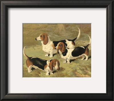 Basset Hounds by Vero Shaw Pricing Limited Edition Print image