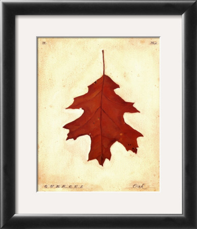Oak Leaf by Meg Page Pricing Limited Edition Print image