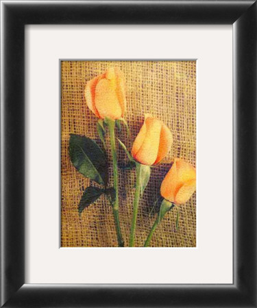 Roses by Vincenzo Ferrato Pricing Limited Edition Print image