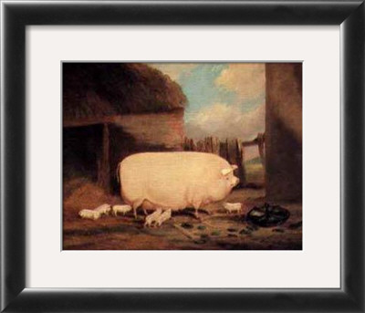 Sow With Her Piglets by John Vine Pricing Limited Edition Print image