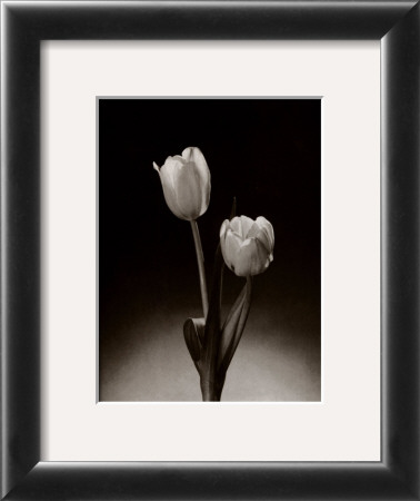 Tulips by Elizabeth King Brownd Pricing Limited Edition Print image
