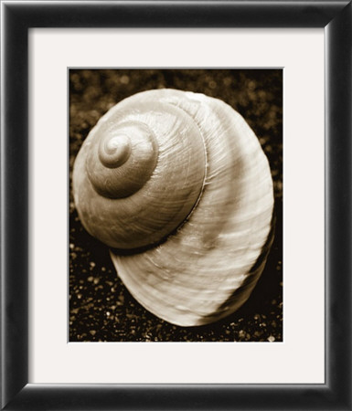 Sea Gallery Ii by Boyce Watt Pricing Limited Edition Print image