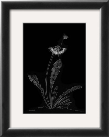 Dandelion Garden Ii by Alicia Ludwig Pricing Limited Edition Print image