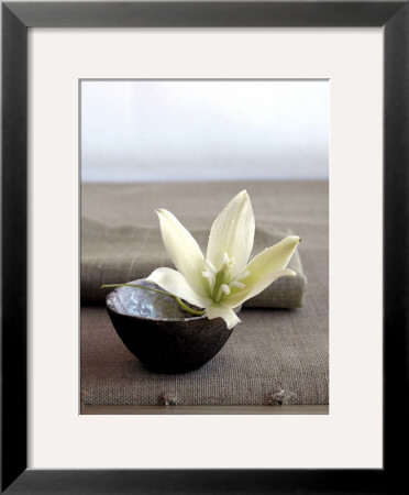 Yucca Flower by Amelie Vuillon Pricing Limited Edition Print image