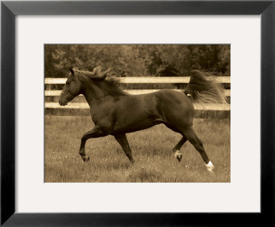 In The Open Field by Robert Dawson Pricing Limited Edition Print image