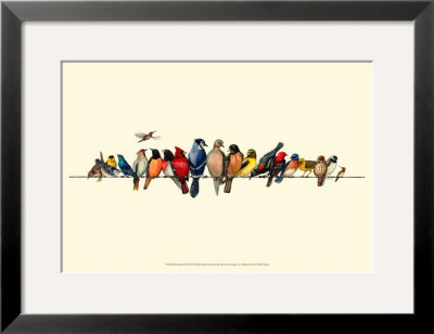 Bird Menagerie Iii by Wendy Russell Pricing Limited Edition Print image
