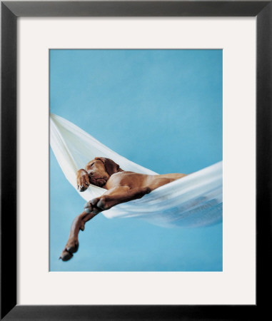 Lazy Afternoon by Rachael Hale Pricing Limited Edition Print image