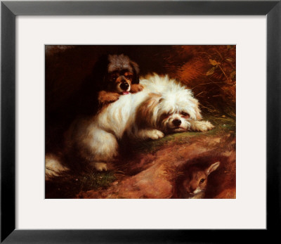 Playful Encounter by Thomas Earl Pricing Limited Edition Print image