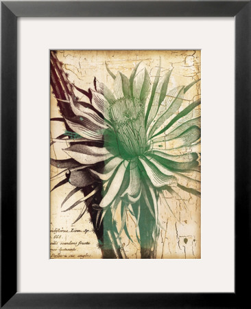 Fresh Floral I by Benny Diaz Pricing Limited Edition Print image