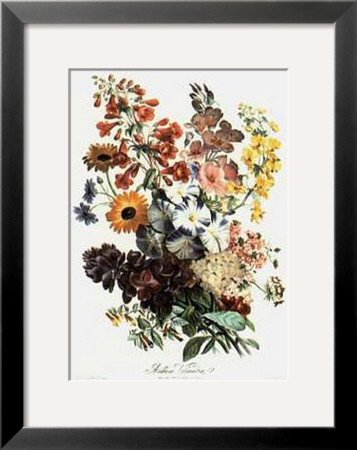 Bouquet Iv by Andrieux Vilmorin Pricing Limited Edition Print image