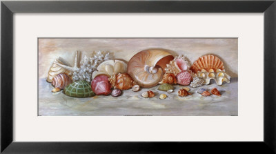 Ocean Still Life I by Nancy Wiseman Pricing Limited Edition Print image