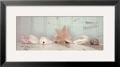 Sea Still Panel Ii by Tammy Repp Pricing Limited Edition Print image