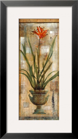 Rojo Botanical I by Edwin Douglas Pricing Limited Edition Print image