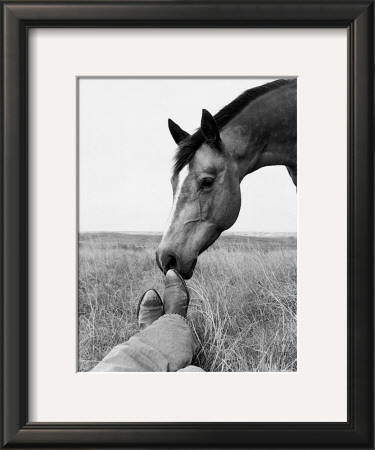 Partners by Gregg Albracht Pricing Limited Edition Print image