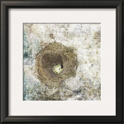 Nest Egg by Susan Friedman Pricing Limited Edition Print image