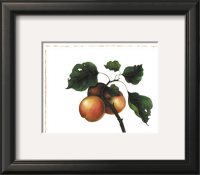 Goldmine Nectarine by Morgan Kari Pricing Limited Edition Print image