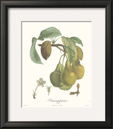 Pears, Frangipane by Francois Langlois Pricing Limited Edition Print image