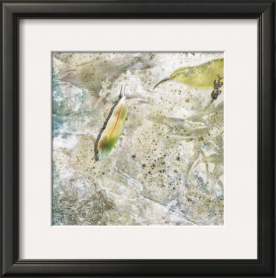 Feather by Susan Friedman Pricing Limited Edition Print image