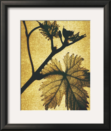 Golden Time Ii by Gil-Lubin Pricing Limited Edition Print image