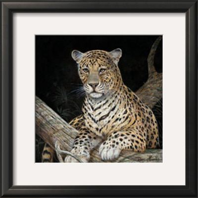 Leopard by Ruane Manning Pricing Limited Edition Print image
