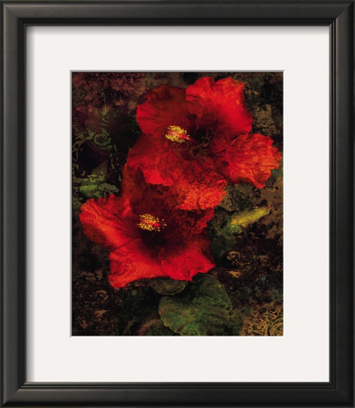 Hibiscus Ii by John Seba Pricing Limited Edition Print image